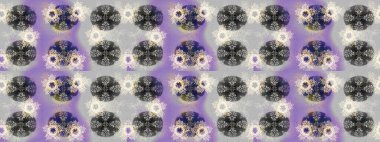 Arabesk ve çiçek öğeleri ile oryantal raster desen. Geleneksel klasik süs. Arabesk ile Vintage desen.