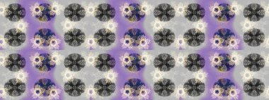 Kar taneleri tasarımı. Modern soyut tasarım posteri, kapak, gri, nötr ve mor renkli kart tasarımı. Son moda kar taneleri ve elementler onun kartlarını gösteriyor. Retro biçim dokusu, kış elementleri.