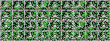 Raster dikişsiz çiçek deseni. Vadinin yeşil renkli çiçekleri.