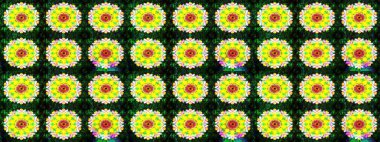 Raster illüstrasyonundaki çiçek desenli çizim. Sarı renkte çiçekler.
