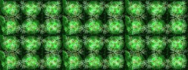 Mandalas 'ın dekoratif dokusu. Folk Style. Raster illüstrasyonu. Lace Snowflakes 'in etnik kökü. Tekstil için Lacy Fashion Print. Kumaş veya Duvar Kağıdı Tasarımı. Şekillendirilmiş Çiçekler.