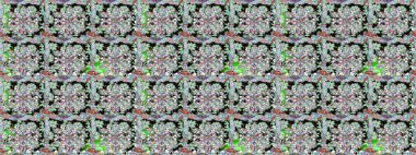 Renkli çiçekler. Çiçeksiz desenli arka plan, yaz çiçekleri. Renkli Bahar Temalı Kusursuz Arkaplan. Düz Çiçek Elementleri Tasarımı.