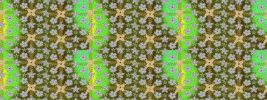 Büyük bir çiçek boyası seti. Kartlar, davetiyeler, tarih kartları ve daha fazlası için kullanılabilir. Raster şirin suluboya çiçek deseni çizimi.