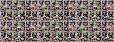 Hint çiçek Paisley patten kenarlık. Sorunsuz süsleme yazdırma. Etnik Mandala havlu. Raster kına tarzı. Kartvizit arka plan boyama kitabı, zemin, tekstil, tebrik için kullanılabilir.