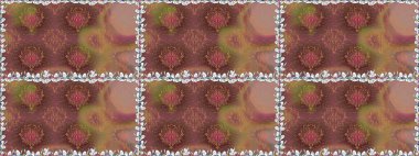 Renkli çiçekler. Çiçeksiz desenli arka plan, yaz çiçekleri. Renkli Bahar Temalı Kusursuz Arkaplan. Düz Çiçek Elementleri Tasarımı.