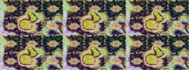 Barok tarzında eskiz oryantal süsü. Tarafsız renklerde ve altın elementlerle geleneksel klasik altın raster deseni.