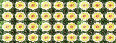 Çiçekli karalama şeklinde Raster çiçek deseni. Nazik, sevimli çiçek arkaplanı. Yeşil renkte çiçekler.