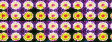 Renkli Yaz Temalı eskiz kalıbı. Güzel eskiz şekli. Raster çiçekli arka plan. Düz Çiçek Elementleri Tasarımı. Yazdır. Şirin kumaş deseni.