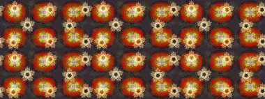 Raster resim. Raster kar taneleri desen. Renkli arka plan üzerinde raster sevimli kar taneleri.