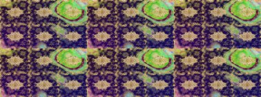 Eskiz kalıbı altın elementler. Raster illüstrasyonu. Kart, duvar kağıdı, ambalaj ve tekstil için klasik tasarım. Kahverengi renkte Royal retro. Klasik çiçek dokusu. Altın şablon.