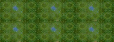 Kızılderili desenli desenli desenli şal deseni. Etnik Mandala süsü. Raster Henna dövme stili. Tekstil, tebrik kartı, boyama kitabı, telefon kılıfı baskısı için kullanılabilir.