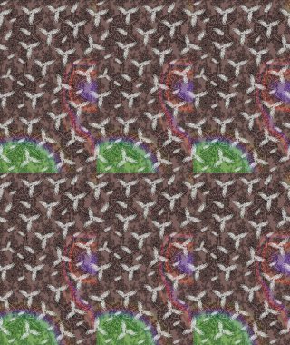 Raster illüstrasyonu. Egzotik çiçekler, kahverengi renklerde botanik, parlak, klasik bir doğa. Klasik tropikal doğal elementlerin suluboya seti.