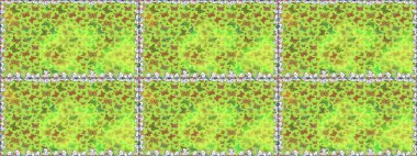 Raster illüstrasyonu. Yeşil ve sarı arka planda kelebek deseni var. Kumaş, kağıt, ambalaj kağıdı ve duvar kağıdı tasarımı için sevimli bir arkaplan.