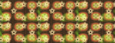 Retro tarzı, kış elementleri. Modern soyut tasarım posteri, kapak, kahverengi, nötr ve yeşil renkli kart tasarımı. Son moda kar taneleri ve elementler onun kartlarını gösteriyor. Kar taneleri tasarımı.