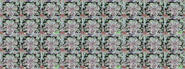 Sabıka fotoğraflarında, bebek kıyafetlerinde, duvar kâğıtlarında, paket kutularında falan kullanılabilir. Zarif, parlak ve kusursuz nötr çiçek deseni tasarımı.