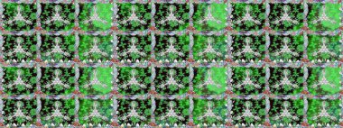 Parlak çiçekli kolaj çiçekleri yeşildir. Çiçek tasarımı için inanılmaz bir kolaj cenneti tarzı. Çiçekli zambaklar dikişsiz arkaplan.