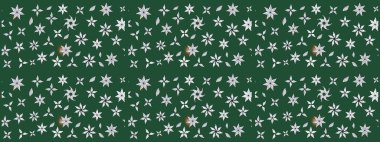 El yapımı çiçek ve bitki koleksiyonu. Raster illüstrasyonu. Eskiz stili yeşil renkler. Şirin karalamalı çiçek desenli çizim. Raster illüstrasyonu.