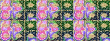 Skeç raster arka planı. Çiçek deseni. Duvar kâğıdı barok, İspanyol kumaşı. Şık bir grafik desen. Tarafsız renklerdeki altın elementler.