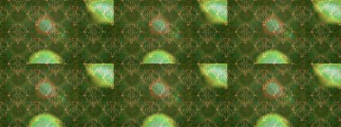 Ev dekorasyonu. Paisley baskı el çizilmiş elemanları. Fantezi çiçekler, doğal duvar kağıdı, çiçek dekorasyon kıvırcık illüstrasyon ile Dikişsiz desen.