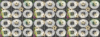 Raster illüstrasyonu. Kar tanesi rengarenk desen. Kar taneleri deseni. Soyut kar taneleri arkaplanda izole edilmiş düz dizayn. Raster kar taneleri arkaplanı.