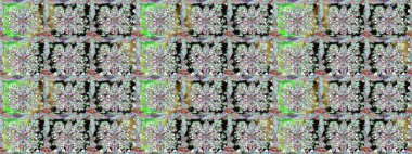 Çiçekler, yapraklar, dekoratif elementler, sıçramalar, lekeler, el çizimleri çizimleri ve Doodle çizimleri, grafik raster çizimleri.