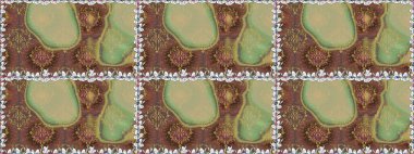 Kusursuz bir arka plan modeli. Raster - stok. Yapraklı çiçekler ve kahverengi renkli papatya çiçekleri..