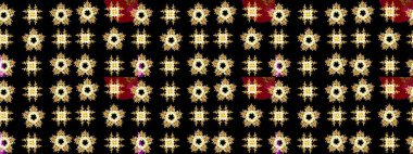 Çiçekli yumuşak bir eskiz şekli. Yumuşak, bahar çiçekleri siyah renklerde. Raster çiçekleri klasik tarzda çizilmiş. Raster illüstrasyonu.