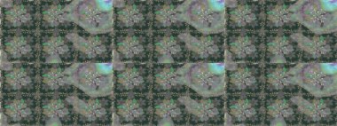 Karşılama ya da düğün geçmişi olarak kullanılabilir. Doğal kozmetik ürünleri, parfüm, çiçekçi dükkanı için bahar ihalesi tasarımı. Gri lale çiçekli, pürüzsüz bir desen. Paket kağıdı için en iyisi..