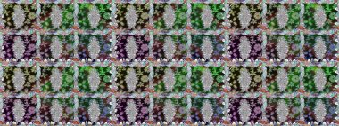 Sabıka fotoğraflarında, bebek kıyafetlerinde, duvar kâğıtlarında, paket kutularında falan kullanılabilir. Zarif, parlak ve kusursuz nötr çiçek deseni tasarımı.