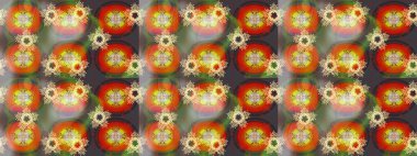 Raster illüstrasyonu. Eskiz tarzı turuncu renkler. Şirin karalamalı çiçek desenli çizim. El yapımı çiçek ve bitki koleksiyonu. Raster illüstrasyonu.