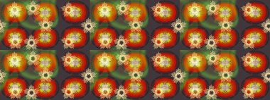 Kar taneli renkler. Renkli arka planda izole tatlı kar taneleri. Raster illüstrasyonu.