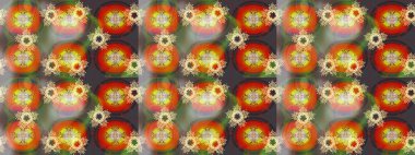 Raster illüstrasyonu. Eskiz tarzı turuncu renkler. Şirin karalamalı çiçek desenli çizim. El yapımı çiçek ve bitki koleksiyonu. Raster illüstrasyonu.