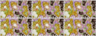 Vadinin çiçekleri tarafsız renklerde. Çiçeksiz desenlerin çizimi.