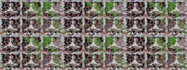 Raster Hip kumaş deseni. Kusursuz Vintage Çiçek Deseni.