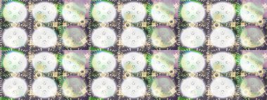 Elle çizilmiş kartanesi karalaması. Yılbaşı kış tasarımı için renkli kar taneleri. Raster illüstrasyonu.