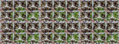 Vadinin çiçekleri tarafsız renklerde. Raster dikişsiz çiçek deseni.