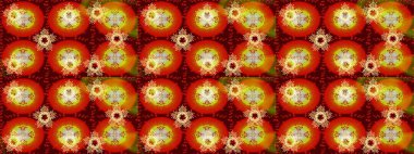 Kış karalamaları elle çizilmiş kar tanesi. Kartpostal için sevimli, basit raster kar taneleri ve tekstil için poster tasarımı, ambalaj kağıdı, el yapımı Noel tarzı kış arkaplanları. Raster tasarımı.