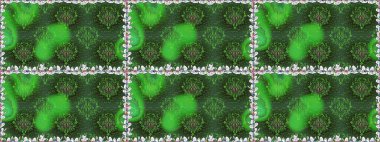 Yeşil renkli çiçekler. Renkli Bahar Temalı Kusursuz Arkaplan. Raster illüstrasyonunda kusursuz çiçek deseni. Düz Çiçek Elementleri Tasarımı.