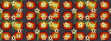 Güzel dekorasyon. Kışın sembolü. Renkli suluboya kar taneleri. İllüstrasyon kar tanesi.