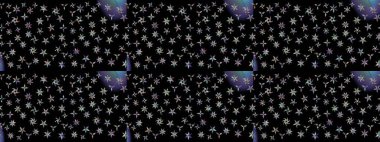 Manzaralı çiçek deseni. Sevgililer günü ve tebrik kartı konsepti için şık bir davetiye. Çiçek kompozisyonu, el boyası, hassas şablon. Üst görünüm, yumuşak siyah renk biçimi.