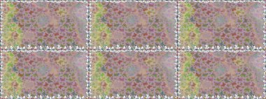 Doğa kelebeğinin yüksek kalitesi. Klasik tarzda hem de. Raster illüstrasyonu. Su rengi filtre etkisindeki nötr resimler.