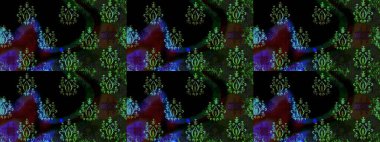 Moda baskıları için zarif bir şablon. Küçük renkli çiçekler. Çiçekli yaz çiçekleri. Küçük çiçekte güzel bir desen. Robot resim. Motley illüstrasyonu.