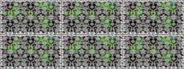 Kusursuz bir arka plan modeli. Yapraklı çiçekler ve kır renkli papatya çiçekleri. Raster - stok.