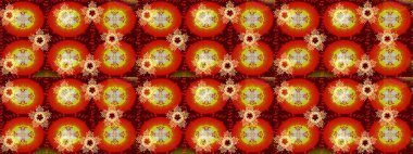 Renkli Bahar Temalı Kusursuz Arkaplan. Raster illüstrasyonunda kusursuz çiçek deseni. Süslü kumaş deseni. Düz Çiçek Elementleri Tasarımı.