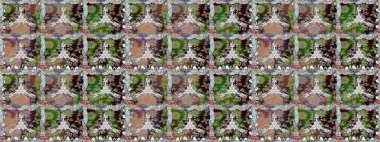 Tatlı suluboya, dikişsiz çiçek deseni. Büyük bir çiçek boyası seti. Kartlar, davetiyeler, tarih kartları ve daha fazlası için kullanılabilir.