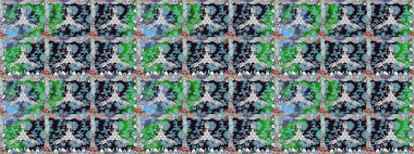 Raster - stok. Kusursuz bir arka plan modeli. Yapraklı çiçekler ve kır çiçekli papatya çayı..