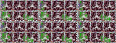 Kusursuz Vintage Çiçek Deseni. Raster Kalça dokusu deseni.