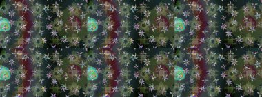 Gri ve yeşil renkli kar taneleri. Renkli arka planda izole tatlı kar taneleri. Kar tanesi raster deseni. Raster illüstrasyonu.