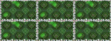 Çiçekli karalama şeklinde Raster çiçek deseni. Yumuşak, yaz çiçekli arka plan. Yeşil renkte çiçekler.