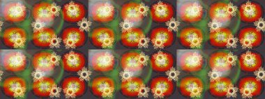 Basit bir kar tanesi. Kahverengi, turuncu ve gri renklerde şirin kar taneleri. Kışın sembolü, mutlu noeller, mutlu yeni yıl kutlaması Raster illüstrasyonu. Soyut duvar kağıdı, ambalaj dekorasyonu.